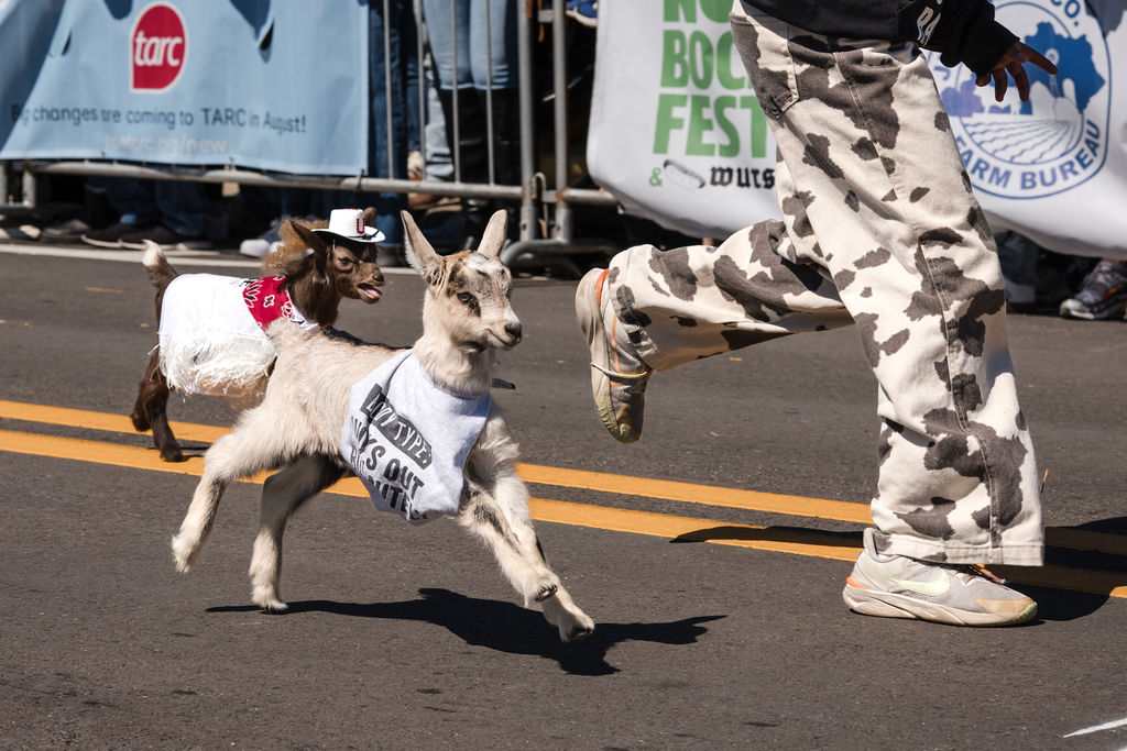 Bockfest fun run Louisville