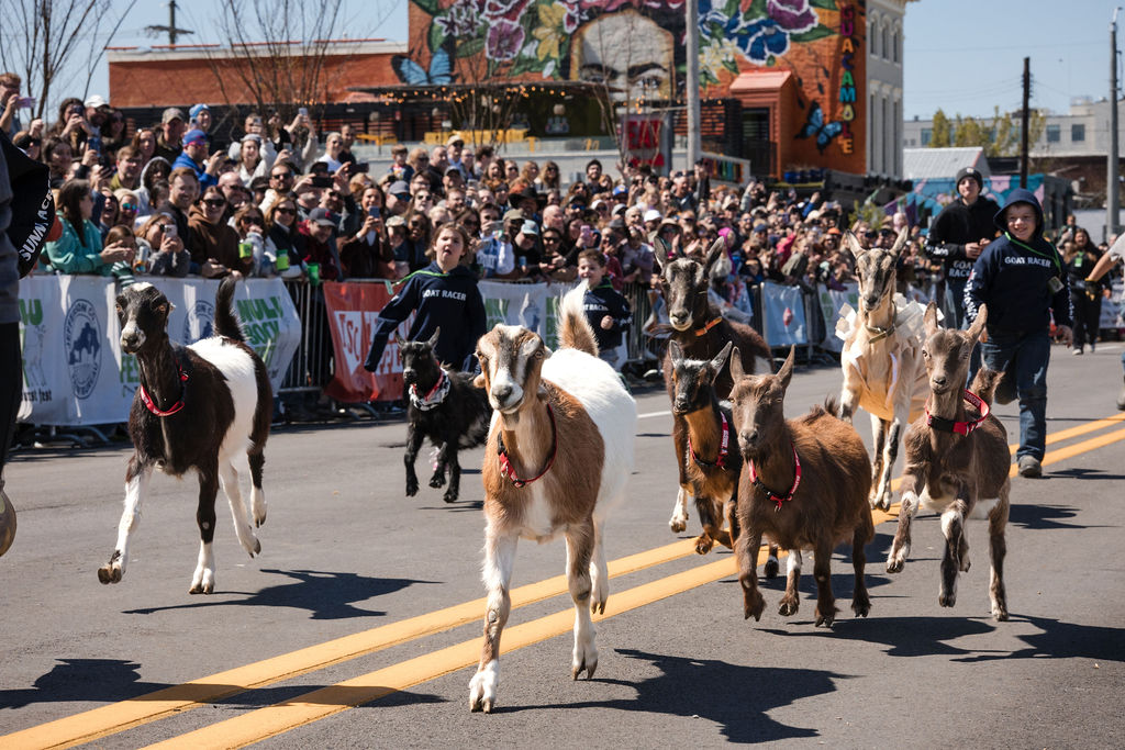 NuLu Bockfest spring festival event photography